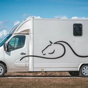 Renault Master 2 chevaux 165 ch – Image 1