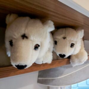 Caravane Polar 520 CTV Original – Image 3