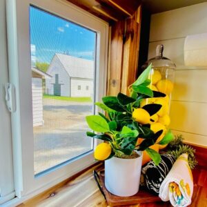 Tiny House sur une remorque de 38m² – Image 29